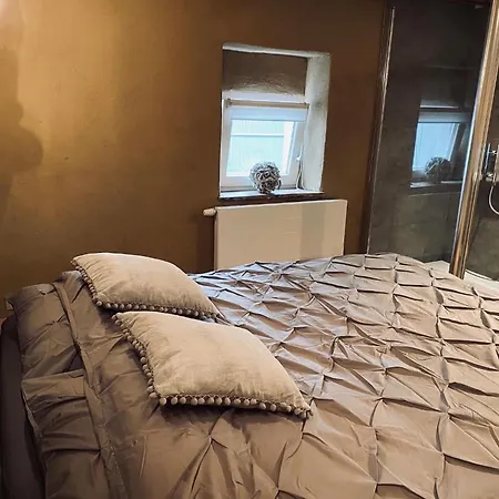 In With Forest, Cleaning Included
